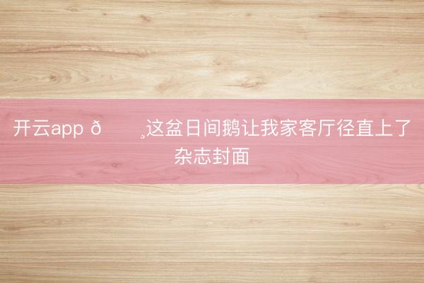 开云app 📸这盆日间鹅让我家客厅径直上了杂志封面