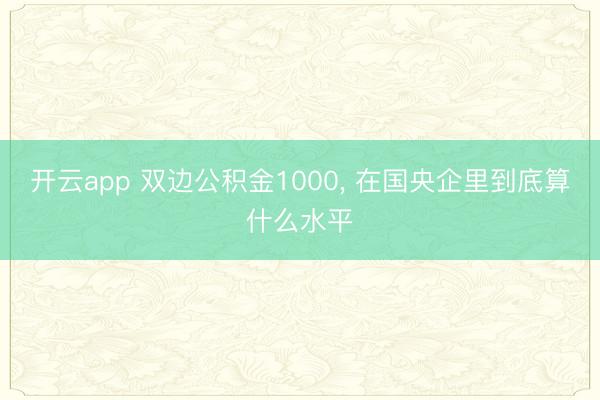 开云app 双边公积金1000， 在国央企里到底算什么水平