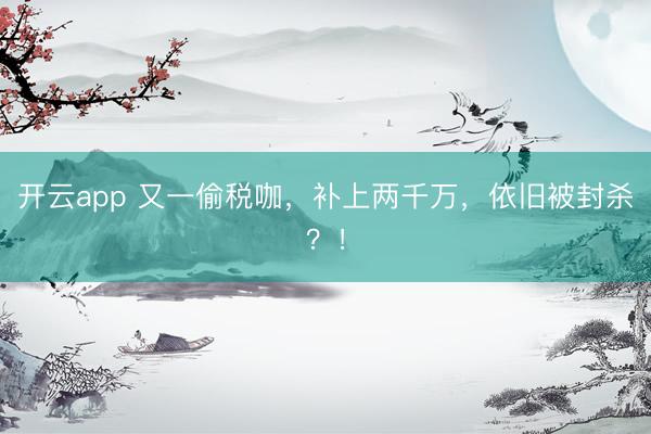 开云app 又一偷税咖，补上两千万，依旧被封杀？！
