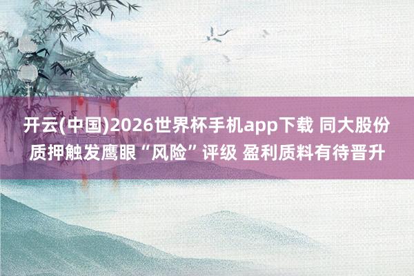 开云(中国)2026世界杯手机app下载 同大股份质押触发鹰眼“风险”评级 盈利质料有待晋升