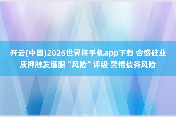 开云(中国)2026世界杯手机app下载 合盛硅业质押触发鹰眼“风险”评级 警惕债务风险
