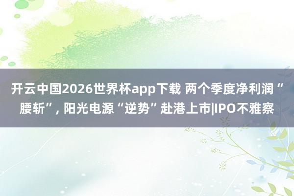 开云中国2026世界杯app下载 两个季度净利润“腰斩”, 阳光电源“逆势”赴港上市|IPO不雅察