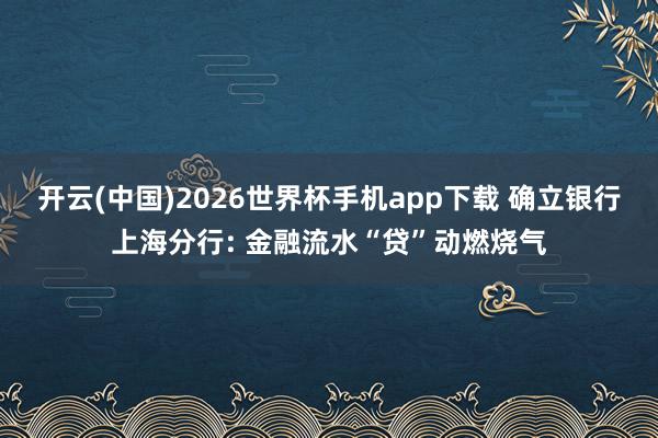 开云(中国)2026世界杯手机app下载 确立银行上海分行: 金融流水“贷”动燃烧气