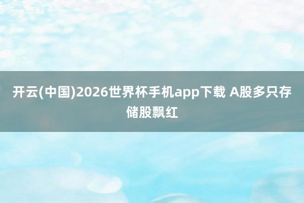 开云(中国)2026世界杯手机app下载 A股多只存储股飘红
