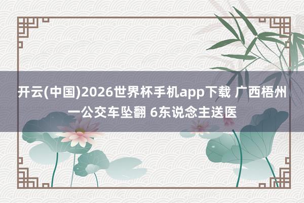 开云(中国)2026世界杯手机app下载 广西梧州一公交车坠翻 6东说念主送医