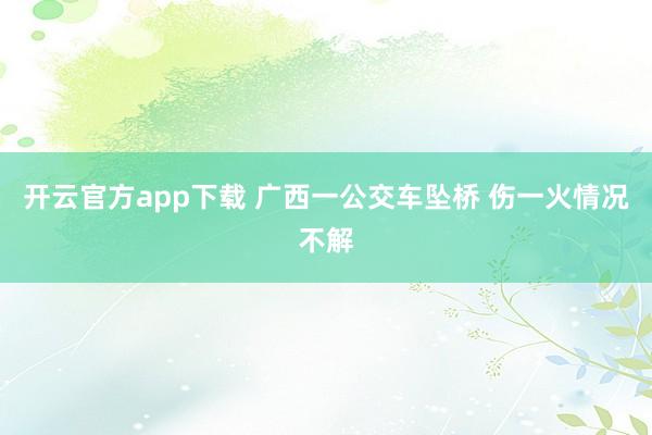 开云官方app下载 广西一公交车坠桥 伤一火情况不解