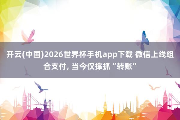 开云(中国)2026世界杯手机app下载 微信上线组合支付, 当今仅撑抓“转账”