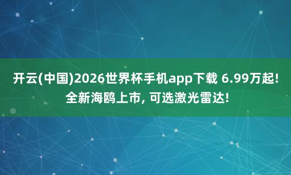 开云(中国)2026世界杯手机app下载 6.99万起! 全新海鸥上市, 可选激光雷达!