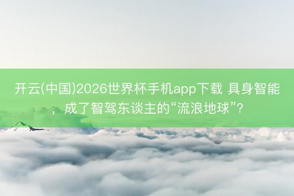 开云(中国)2026世界杯手机app下载 具身智能,成了智驾东谈主的“流浪地球”?