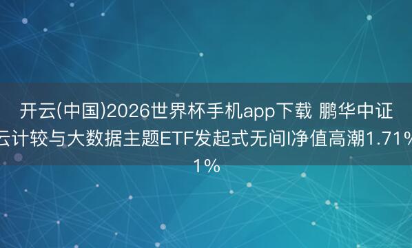 开云(中国)2026世界杯手机app下载 鹏华中证云计较与大数据主题ETF发起式无间I净值高潮1.71%