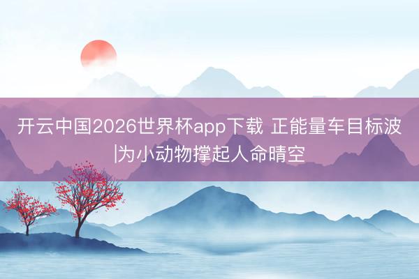 开云中国2026世界杯app下载 正能量车目标波|为小动物撑起人命晴空