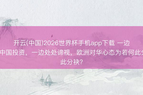 开云(中国)2026世界杯手机app下载 一边狂揽中国投资,一边处处谛视,欧洲对华心态为若何此分袂?