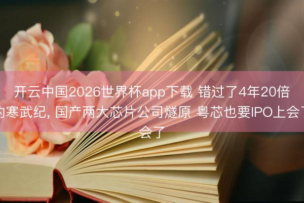 开云中国2026世界杯app下载 错过了4年20倍的寒武纪, 国产两大芯片公司燧原 粤芯也要IPO上会了