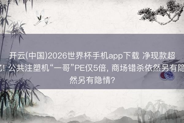 开云(中国)2026世界杯手机app下载 净现款超百亿! 公共注塑机“一哥”PE仅5倍, 商场错杀依然另有隐情?